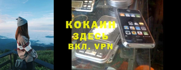 ГАЛЛЮЦИНОГЕННЫЕ ГРИБЫ Горняк