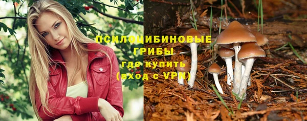 винт Алзамай