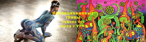винт Алзамай