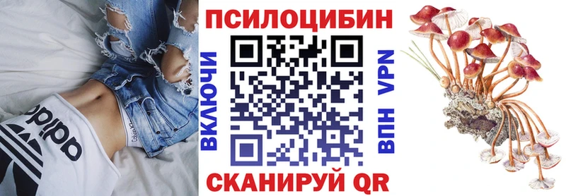 Галлюциногенные грибы Psilocybe  hydra   Ревда 